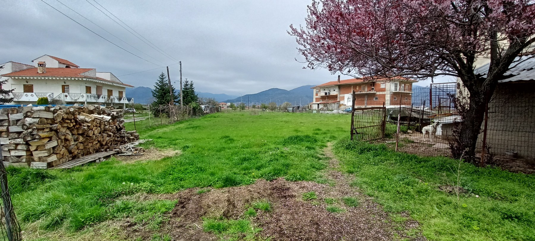 Επαγγελματικός χώρος, Αρμενοχώρι Φλώρινας