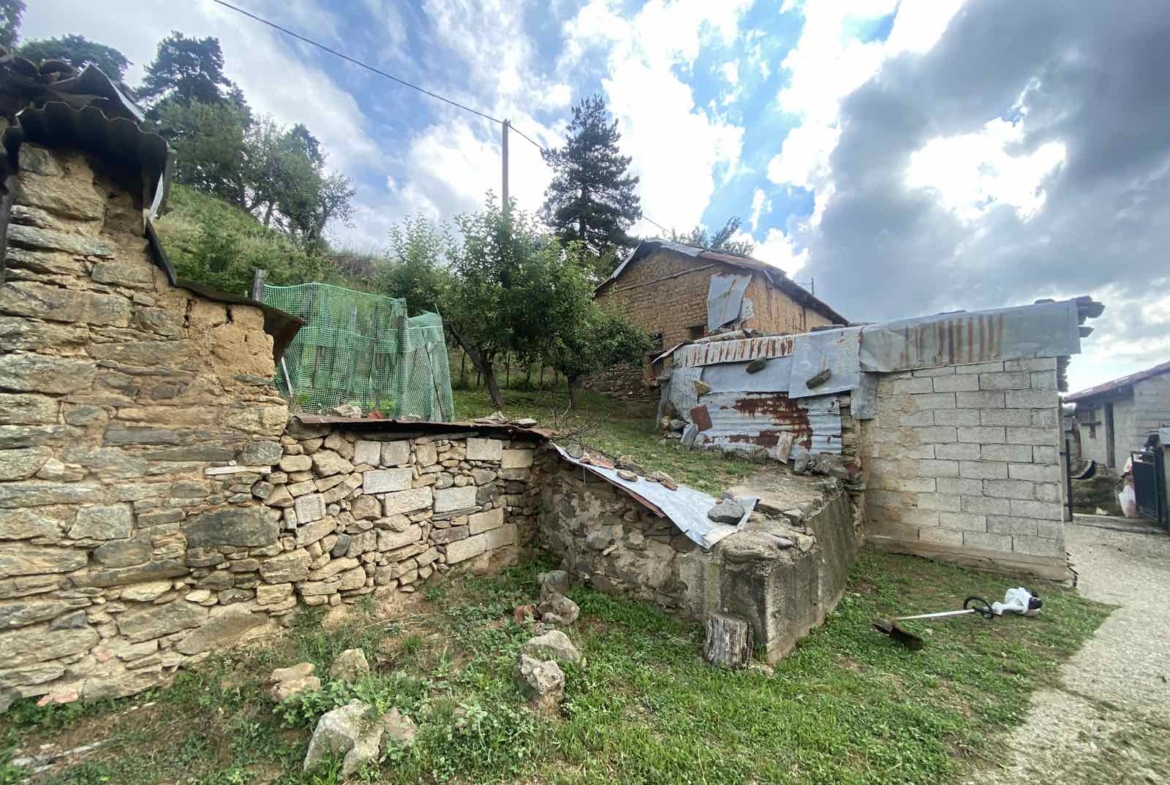 Μονοκατοικία, Άλωνα